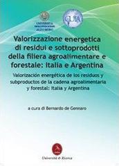 Valorizzazione energetica di residui e sottoprodotti della filiera agroalimentare e forestale: Italia e Argentina edito da Libellula Edizioni