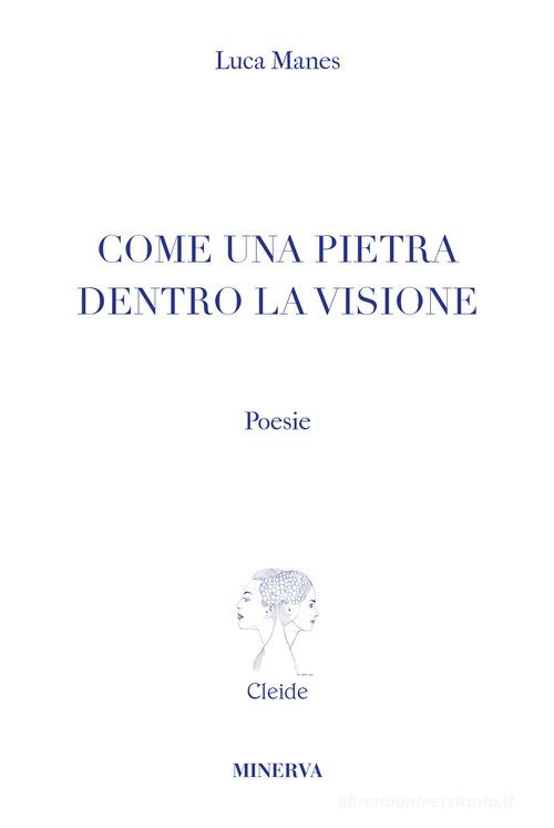 Come una pietra dentro la visione di Luca Manes edito da Minerva Edizioni (Bologna)