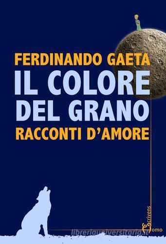 Libro Il colore del grano. Racconti d'amore di Ferdinando Gaeta Direzioni immaginarie di Homo Scrivens