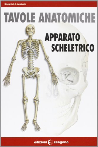 Tavole anatomiche. Apparato scheletrico di Andrea Iacobuzio edito da Esagono