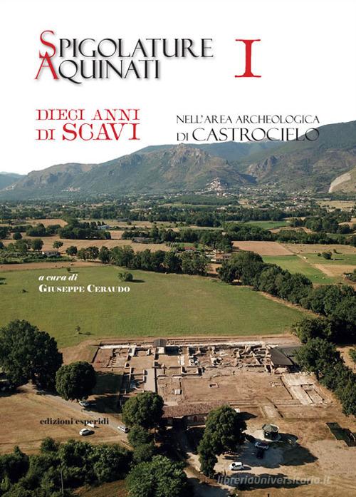 Spigolature Aquinati. Dieci anni di scavi nell'area archeologica di Castrocielo vol. 1 edito da Esperidi