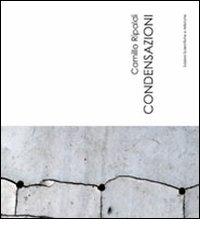 Condensazioni. Catalogo della mostra (Napoli 20 giugno-9 luglio 2012) di Camillo Ripaldi edito da ESA (Torre del Greco)