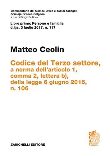 Codice del Terzo settore. a norma dell'articolo 1, comma 2, lettera b), della legge 6 giugno 2016, n. 106 di Matteo Ceolin edito da Zanichelli