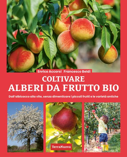 Coltivare alberi da frutto bio. Dall'albicocca alla vite, senza dimenticare i piccoli frutti e le varietà antiche di Enrico Accorsi, Francesco Beldì edito da Terra Nuova Edizioni