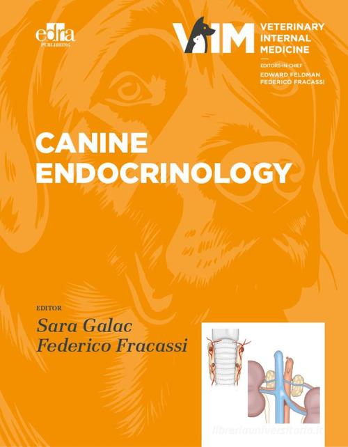 Canine Endocrinolgy edito da Edra