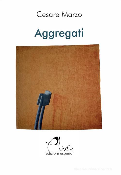 Aggregati di Cesare Marzo edito da Esperidi