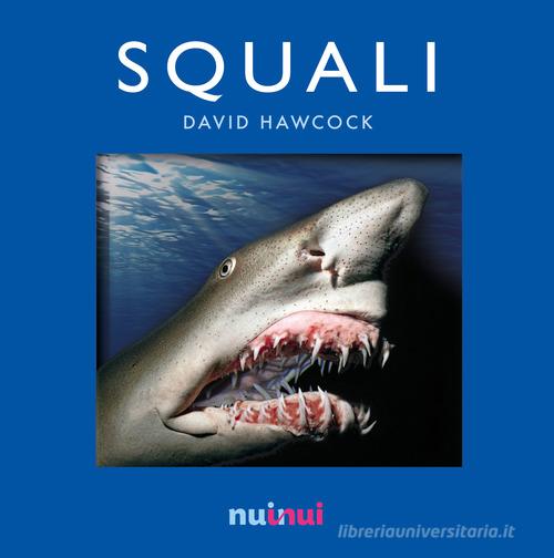 Squali. Libro pop-up di David Hawcock edito da Nuinui