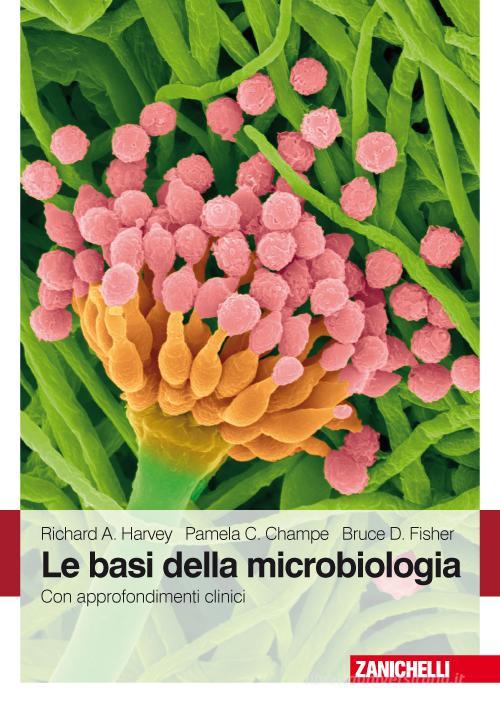 Le basi della microbiologia. Con approfondimenti clinici di Richard D. Fisher, Richard Harvey, Pamela C. Champe edito da Zanichelli