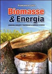 Biomasse & energia. Conoscere, scegliere e trasformare le biomasse in energia di Francesco Calza edito da Sandit Libri