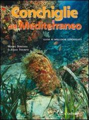 Conchiglie del Mediterraneo. Ediz. illustrata di Egidio Trainito, Mauro Doneddu edito da Il Castello
