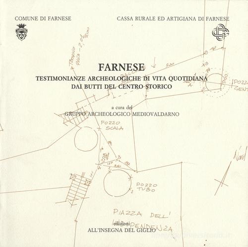 Farnese. Testimonianze archeologiche di vita quotidiana dai butti del centro storico edito da All'Insegna del Giglio