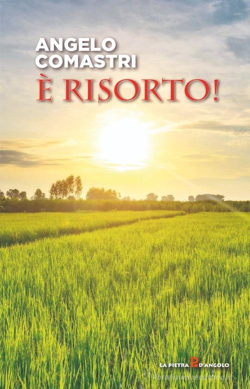 È risorto! di Angelo Comastri edito da OasiApp La Pietra d'Angolo