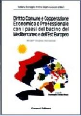 Diritto comune e cooperazione economica e professionale con i paesi del bacino del Mediterraneo e dell'Est europeo edito da Cacucci