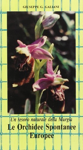 Le orchidee spontanee europee di Giuseppe G. Galiani edito da Edizioni Pugliesi