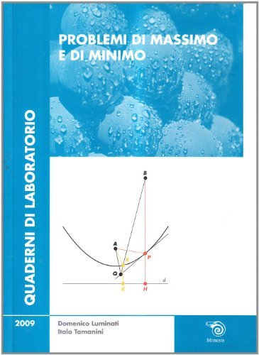 Problemi di massimo e di minimo di Domenico Luminati, Italo Tamanini edito da Mimesis