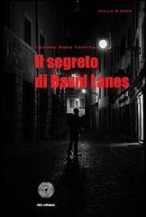 Il segreto di David Lanes di Cristina M. Favetta edito da SBC Edizioni