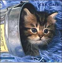 The Cats. Calendario 2003 edito da Impronteedizioni