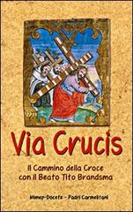 Via crucis. Il cammino della croce con il beato Tito Brandsma di Tito Brandsma edito da Mimep-Docete
