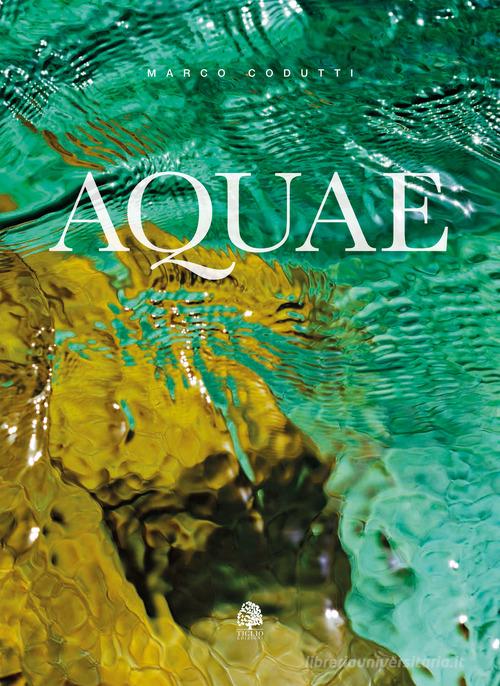 Aquae. Ediz. italiana e inglese di Marco Codutti edito da Tiglio Edizioni