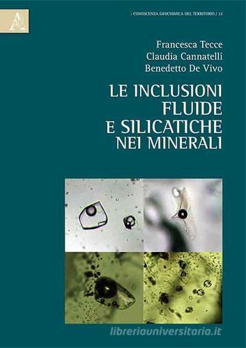 Le inclusioni fluide e silicatiche nei minerali di Francesca Tecce, Claudia Cannatelli, Benedetto De Vivo edito da Aracne