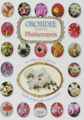 Orchidee phalenipsis edito da Edizioni del Baldo