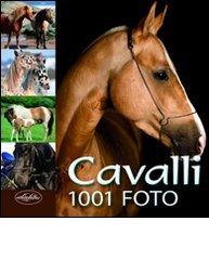 Cavalli edito da Idea Libri