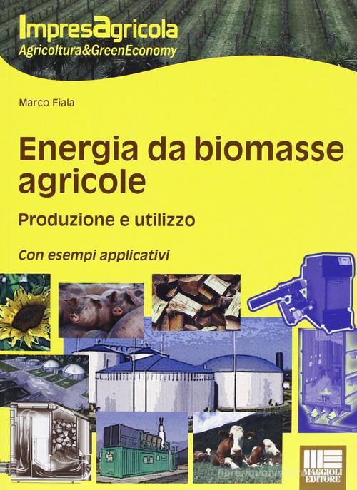 Energia da biomasse agricole. Produzione e utilizzo. Con esempi applicativi di Marco Fiala edito da Maggioli Editore