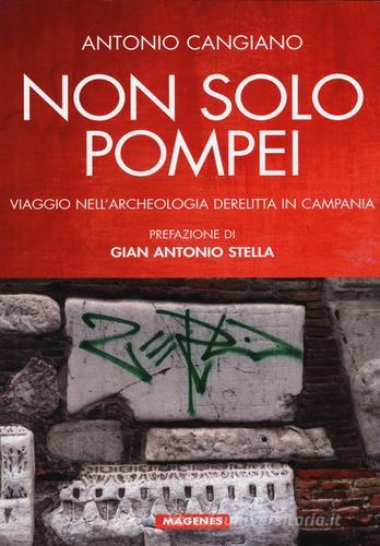 Non solo Pompei. Viaggio nell'archeologia derelitta in Campania di Antonio Cangiano edito da Magenes