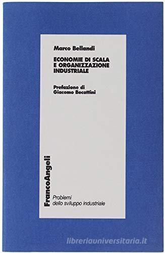 Economie di scala e organizzazione industriale di Marco Bellandi edito da Franco Angeli
