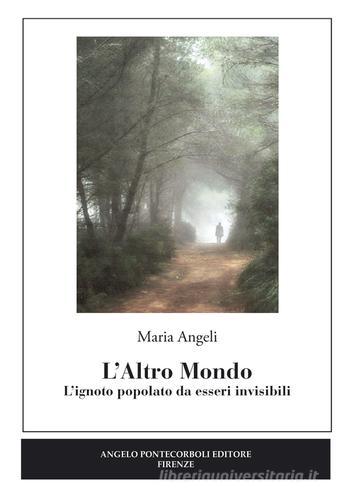 L' altro mondo. L'ignoto popolato da esseri invisibili di Maria Angeli edito da Pontecorboli Editore