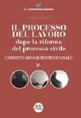 Il processo del lavoro dopo la riforma del processo civile. Commentario giurisprudenziale di Valerio De Gioia edito da Experta