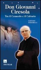 Don Giovanni Ciresola. Tra il Cenacolo e il Calvario di Gaetano Passarelli edito da Editrice Elledici