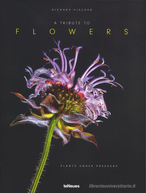 A tribute to flowers. Plants under pressure. Ediz. tedesca, inglese e francese di Richard Fischer edito da TeNeues