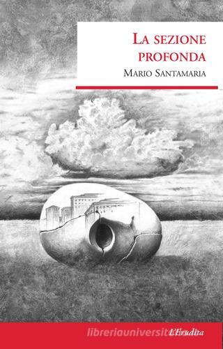 La sezione profonda di Mario Santamaria edito da L'Erudita
