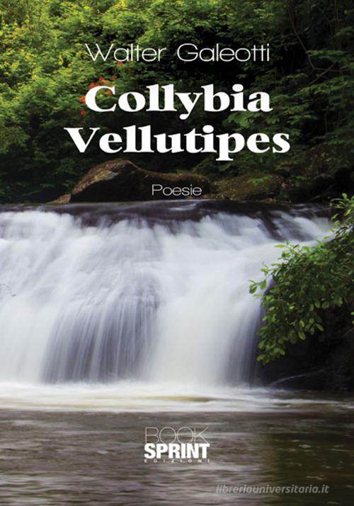 Collybia Vellutipes di Walter Galeotti edito da Booksprint