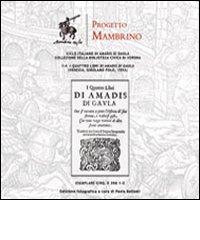 Ciclo italiano di Amadis di Gaula. Collezione della biblioteca civica di Verona edito da QuiEdit