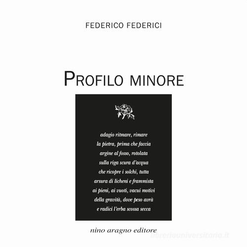 Profilo minore di Federico Federici edito da Aragno