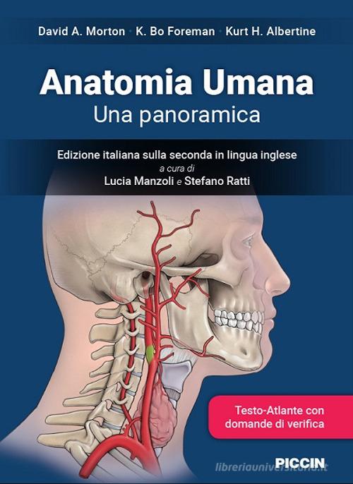 Anatomia umana. Una panoramica di David A. Morton, K. Bo Foreman, Kurt H. Albertine edito da Piccin-Nuova Libraria