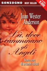 Là, dove camminano gli Angeli di Joan W. Anderson edito da Sonzogno