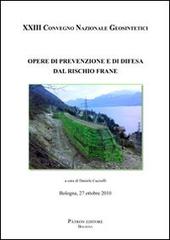 Opere di prevenzione e di difesa dal rischio frane. 23° Convegno nazionale Geosintetici (Bologna 2010) edito da Pàtron