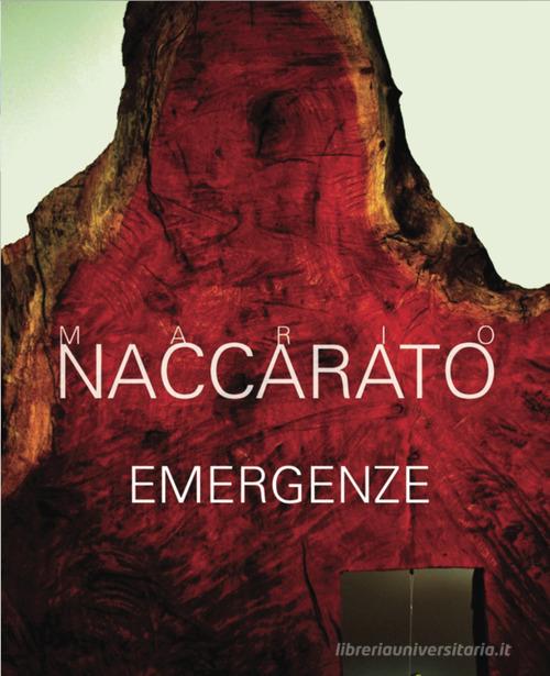 Emergenze di Mario Naccarato edito da Grafichéditore