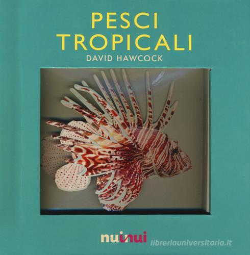 Pesci tropicali. Libro pop-up. Ediz. a colori di David Hawcock edito da Nuinui