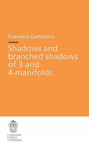 Shadows and branched shadows of 3 and 4-manifolds di Francesco Costantino edito da Scuola Normale Superiore