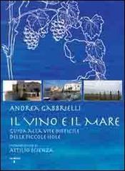 Il vino e il mare. Guida alla vite difficile delle piccole isole di Andrea Gabbrielli edito da Iacobellieditore