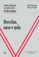 Orecchio, naso e gola di Rod A. Rosychuk, Sandra R. Merchant edito da Antonio Delfino Editore