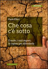 Che cosa c'è sotto di Paolo Pileri edito da Altreconomia