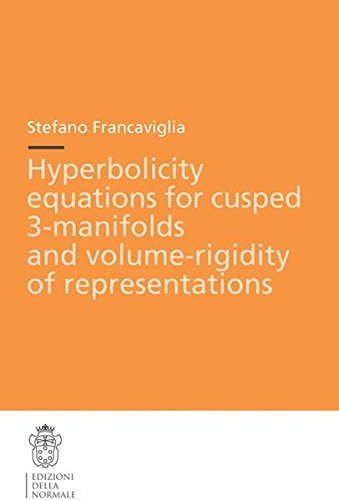 Hyperbolicity equations for cusped 3. Manifolds and volume. Rigidity of representations di Stefano Francaviglia edito da Scuola Normale Superiore