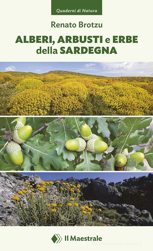 Alberi, arbusti e erbe della Sardegna. Ediz. illustrata di Renato Brotzu edito da Il Maestrale