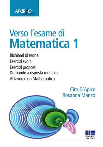Verso l'esame di matematica 1. Con espansione online di Ciro D'Apice, Rosanna Manzo edito da Maggioli Editore