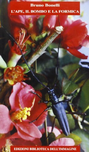 L' ape, il bombo e la formica di Bruno Bonelli edito da Biblioteca dell'Immagine